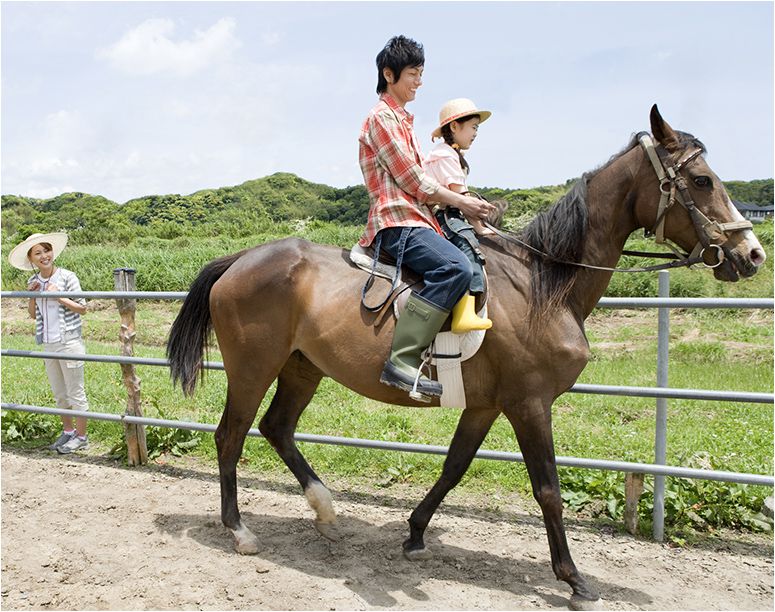 Ukiyo - Horse riding